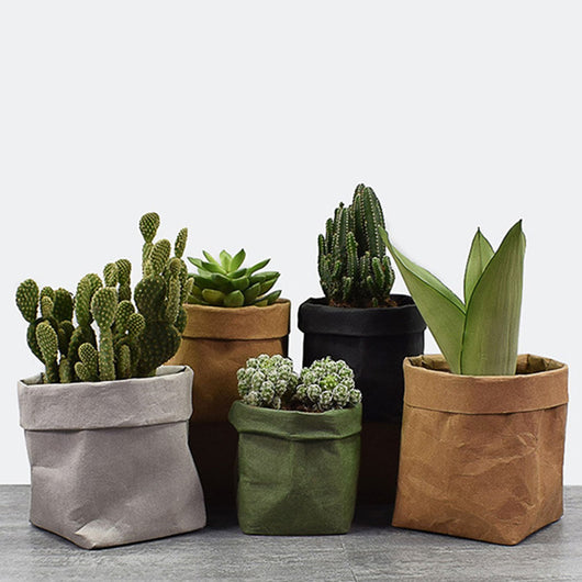 Bolsa de Almacenamiento en Papel Kraft Lavado para Macetas y Suministros