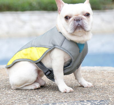 Ropa Refrigerante para Perros - Protección contra el Calor