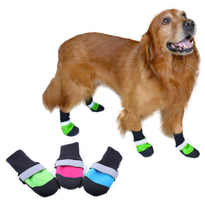 Zapatos Deportivos para Mascotas con Suela Ultrarresistente