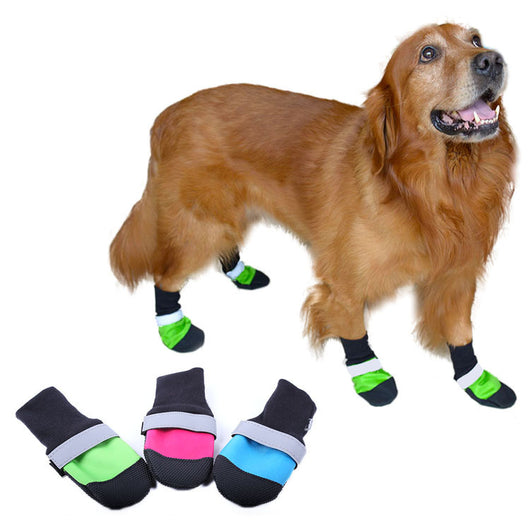 Zapatos Deportivos para Mascotas con Suela Ultrarresistente - Image 5