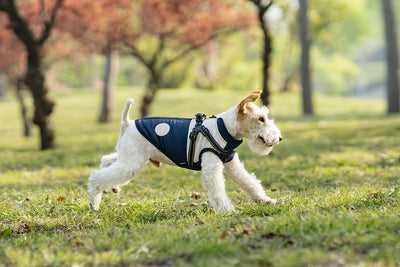 Chaleco Térmico Protector para Perros - Image 15