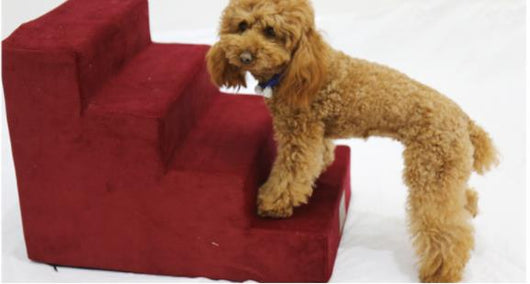 Escaleras para Mascotas - Rampa Portátil para Perros - Image 3