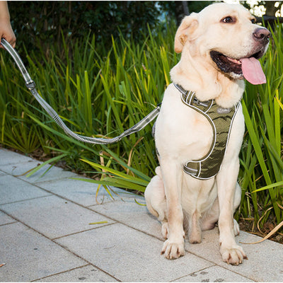 Correa Retráctil Antiexplosión para Perros con Luz Fluorescente - Image 13