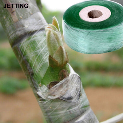 Cinta de Injerto para Árboles Frutales - Rollo 2CM x 100M - Image 5