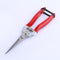 Podadera de Acero Inoxidable Profesional