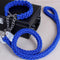 Perro Collar Azul L