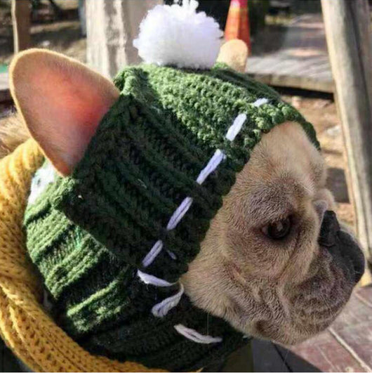 Gorro Divertido para Bulldog Francés y Pug - Image 10