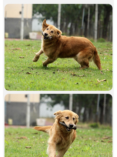Cuernos de Buey Natural para Perros - Masticables Duraderos - Image 15