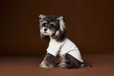 Camisa Interior Teddy Schnauzer - Diseño Elegante con Cuello de Dos Patas - Image 16