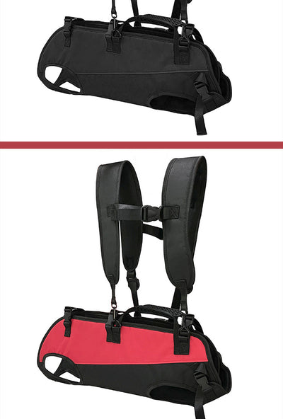 Mochila Transportadora Aérea para Mascotas - Paseos y Aventuras - Image 17