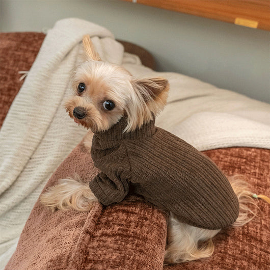 Suéter Elástico para Mascotas - Cómodo, Impermeable y a la Moda - Image 7