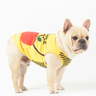 Ropa Adorable para Mascotas - Image 4