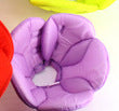 Protector Antirraspuños para Mascotas con Diseño Floral - Image 14