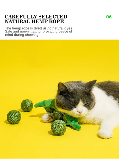 Juguetes Interactivos para Gatos - Pelotas de Sisal y Bastón Teaser - Image 12