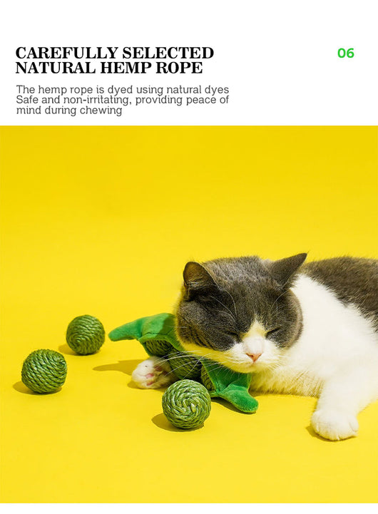 Juguetes Interactivos para Gatos - Pelotas de Sisal y Bastón Teaser - Image 12