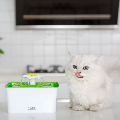 Fuente de Agua para Gatos con Filtro - Image 3