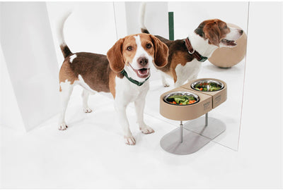 Comedero Portátil para Mascotas - Viajes y Camping - Image 5