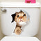 Gato 15