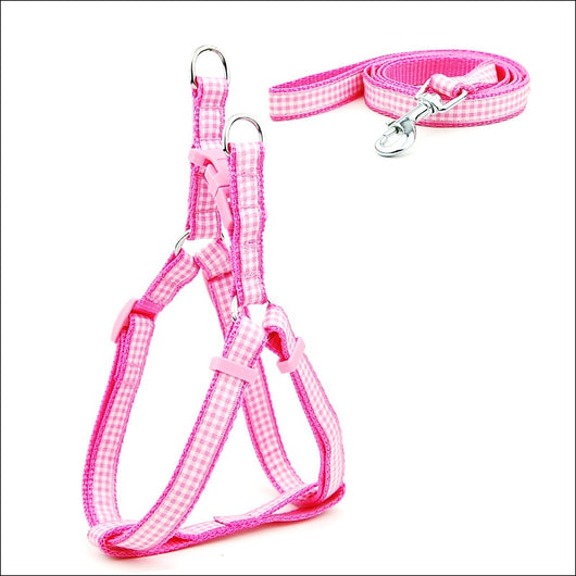 Arnés Pechera para Perros Pequeños y Medianos con Estampado de Lunares - Image 20