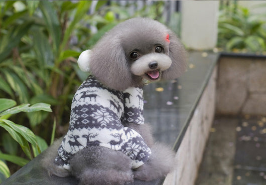 Ropa para Perros de Cuatro Patas - Diseño Elegante Ante - Image 14