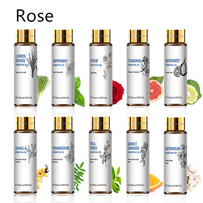 Aceites Esenciales Aromaterápicos 10ml - Lavanda, Rosa y Árbol de Té - Image 25