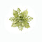 Light Verde 10 Cm