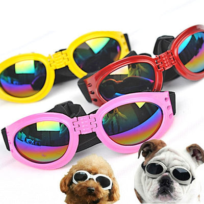 Gafas de Sol Plegables para Perros Medianos - Protección UV Impermeable