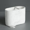 Soporte Para Cepillo De Dientes W