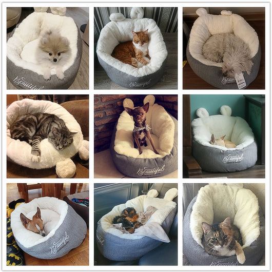 Cama Térmica para Perros con Bolsa de Dormir Acolchada - Image 4