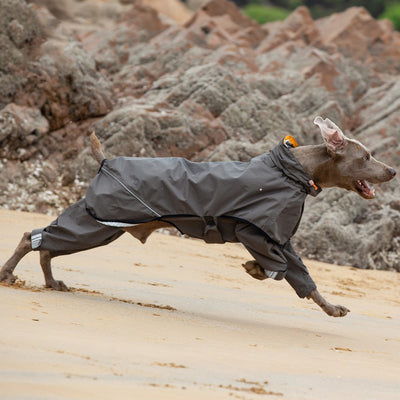 Poncho Impermeable para Perros Medianos y Grandes - Image 8
