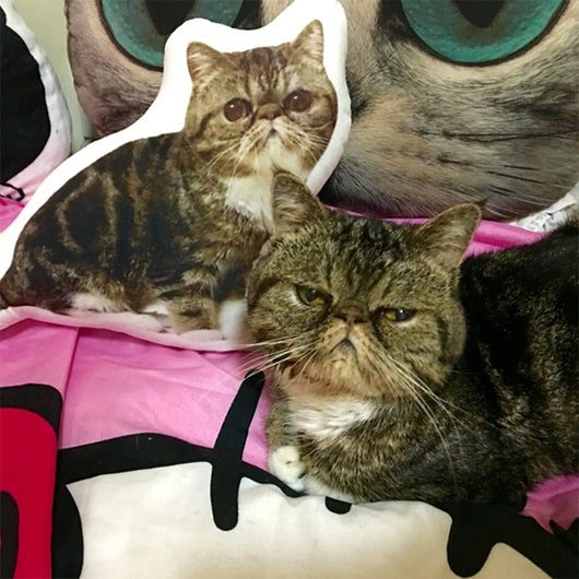 Almohada Mascota Personalizable con Forma Irregular - Image 4