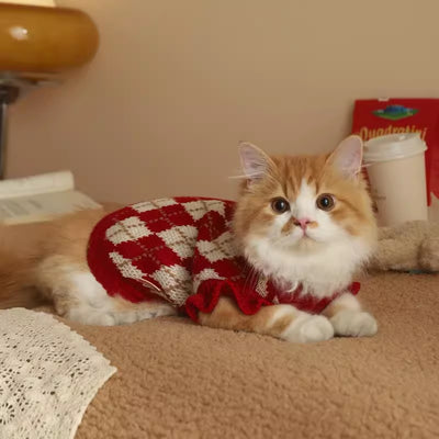 Ropa para Gatos Abrigada - Diseño Adorable para Otoño e Invierno - Image 4