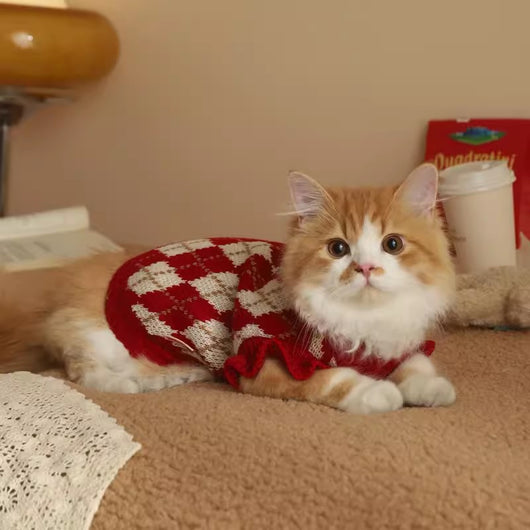 Ropa para Gatos Abrigada - Diseño Adorable para Otoño e Invierno - Image 4