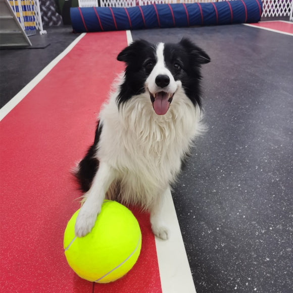 Pelota de Goma Inflable para Entrenamiento de Perros - Juguete Duradero para Razas Grandes