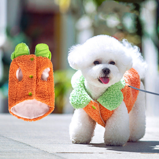 Ropa Térmica para Mascotas Estilo Coreano con Encaje de Hoja de Loto - Image 8