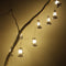 14 Estilos 150 Cm 10 Luzes