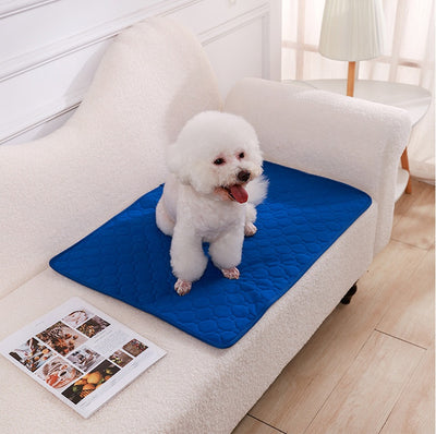 Pañal Lavable para Perros con Almohadilla Absorbente Antideslizante - Image 19