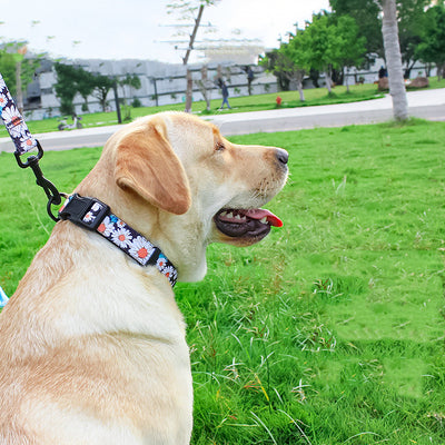 Chaleco Arnés Universal para Mascotas con Enganche Pectoral y Dorsal - Image 49