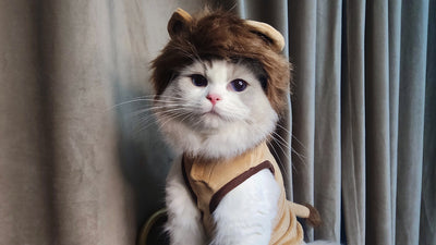 Disfraz de León para Mascotas - Ropa Halloween para Perros y Gatos - Image 12