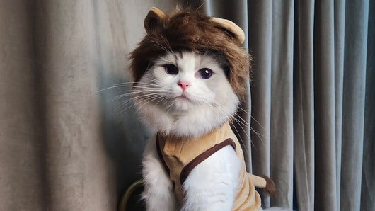 Disfraz de León para Mascotas - Ropa Halloween para Perros y Gatos - Image 12