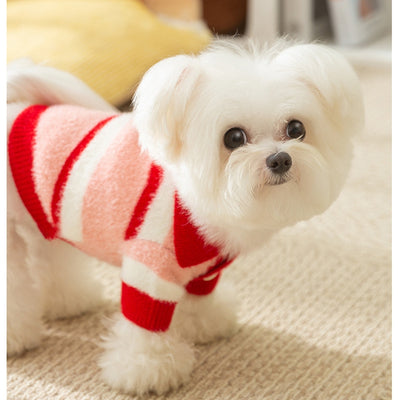 Suéter Polo Térmico para Perros Pequeños - Abrigo Invierno Teddy, Bichón Frisé - Image 11