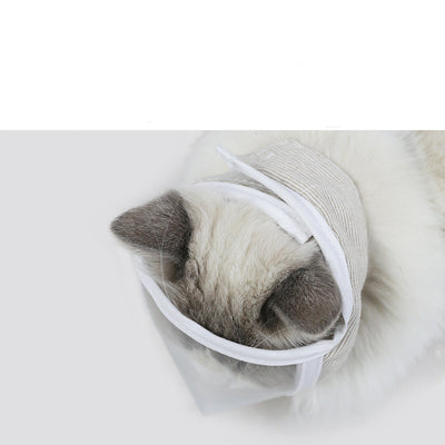 Máscara Protectora Transparente Gato Antipolvo Antimordida - Image 10