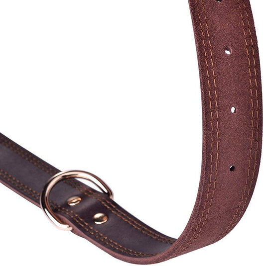 Collar para Perro de Cuero Genuino - Image 8