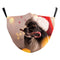 B178 1144 - Talla promedio adulto
