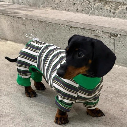 Chaleco Térmico para Mascotas - Abrigo Cálido Otoño e Invierno - Image 7