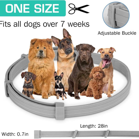 AICONSTO small dog insect repellent collar, gray, offering 8-month protection against fleas, ticks, lice, and flea larvae. - Image 27