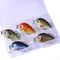 Set de Señuelos Crankbait Mini 2.7cm - Caja Completa para Pesca