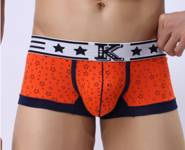 Producto Versátil Número 12 - Image 6