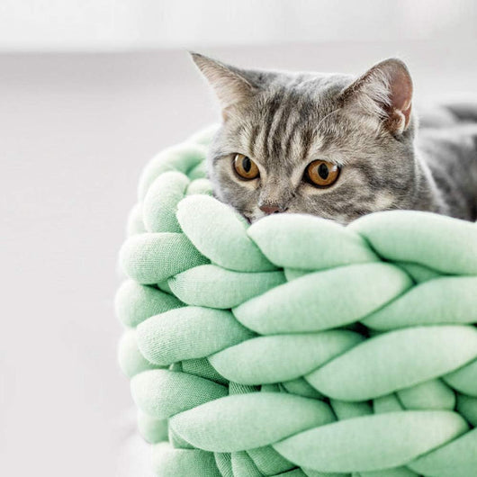 Cama Redonda Tejida para Gatos - Nido Boho de Algodón Cómodo - Image 6