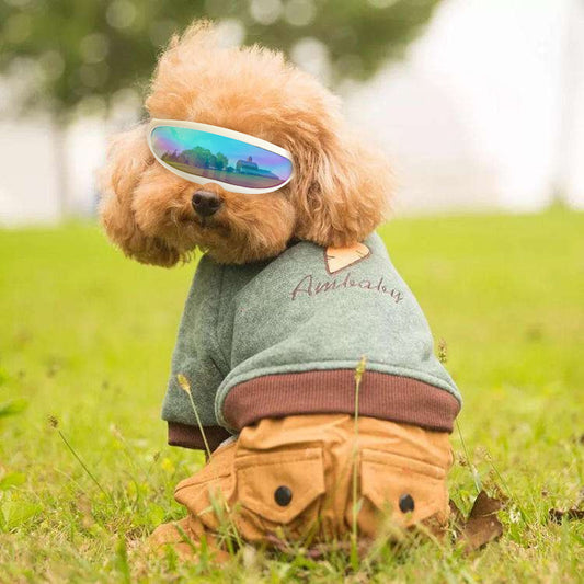 Gafas de Sol UV para Mascotas - Protección Ocular Canina - Image 2